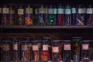 Image shows shelves full of glass jars with mysterious contents, from the set of the Harry Potter films. 