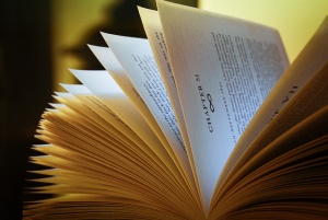 Image shows a book with pages leafing open. 