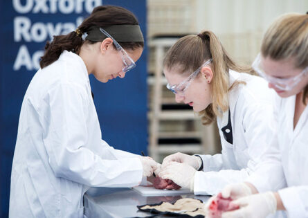 Medicine summer school - Students working in a lab