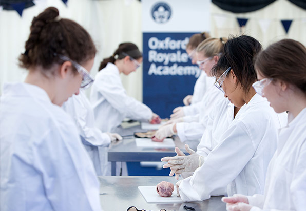 Medicine students perform practical in lab